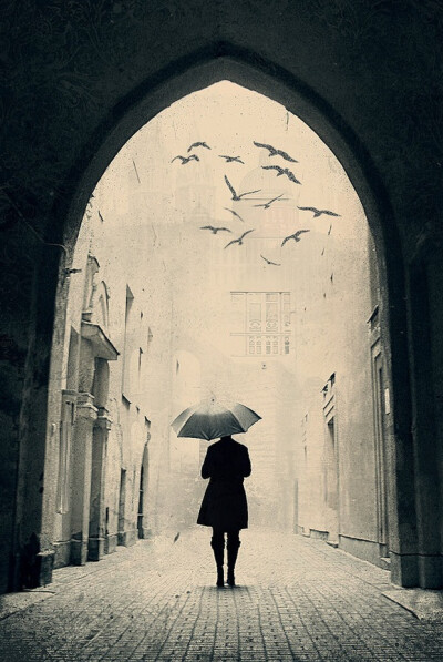 大得建筑跟人物的对比，突出了一种空间感，飞鸟给画面增加流动的感觉。