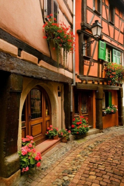 #森旅#法国阿尔萨斯Alsace鹅卵石步道，Alsace是法国紧邻德国最重要的边境城市，也因地理位置恰好在欧陆中心，所以自古以来即有“欧洲十字路口”的称号，此为欧盟议会地点。
