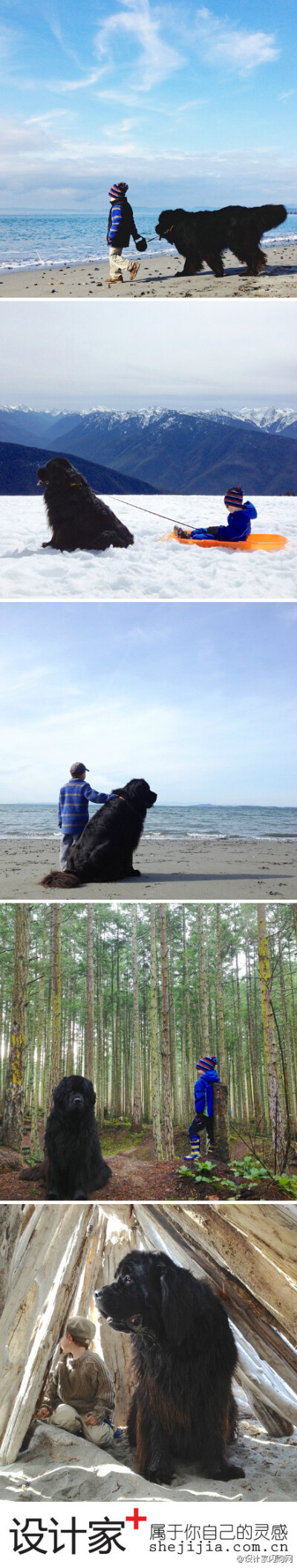 #设计家爱生活#“4岁男孩Julian 和5岁纽芬兰犬Max”Part2.By Stasha Becker