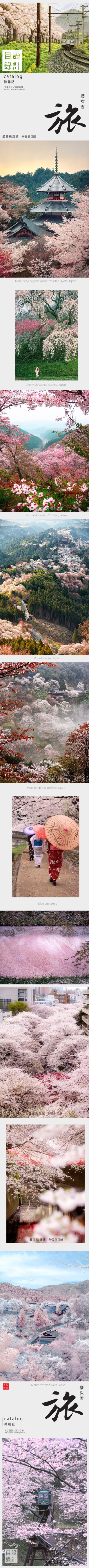 櫻吹雪 | 奈良春櫻的花海最美處「吉野山·櫻吹雪」，想象下六萬株櫻樹在四月間由「下千本」、「中千本」、「上千本」最後至「奧千本」輪番綻放的人間神景。看過吉野櫻，百花覺無味。鷦鷯巢於深林，不過一枝；偃鼠飲河…