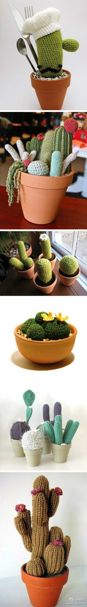 霸气的毛线仙人掌~~~
