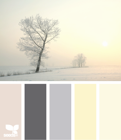 winter tints