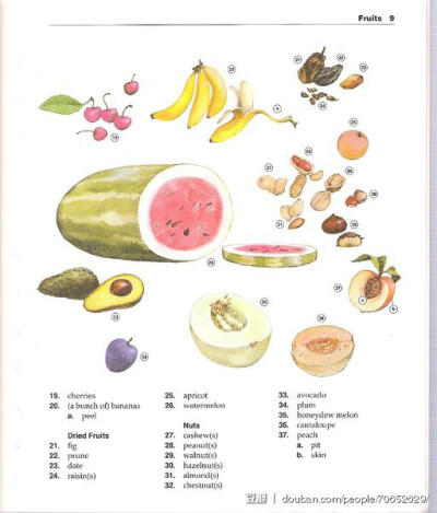 碎花小姐看图背单词