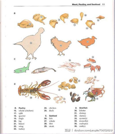 碎花小姐看图背单词