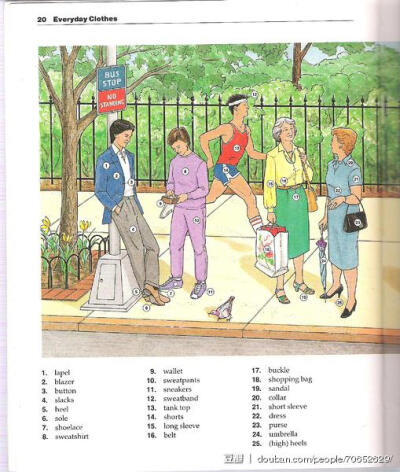 碎花小姐看图背单词