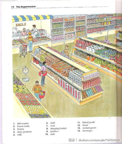 碎花小姐看图背单词