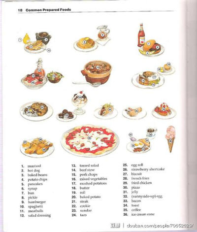 碎花小姐看图背单词