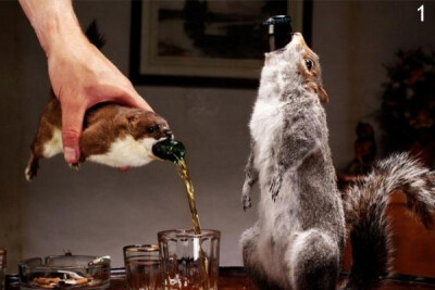 Most expensive Beer Rank No.1: END OF HISTORY-Priced at $765 for a bottle of 330ml. only 12 bottles of this beer were brewed that include seven stoats, four squirrels and one hare!