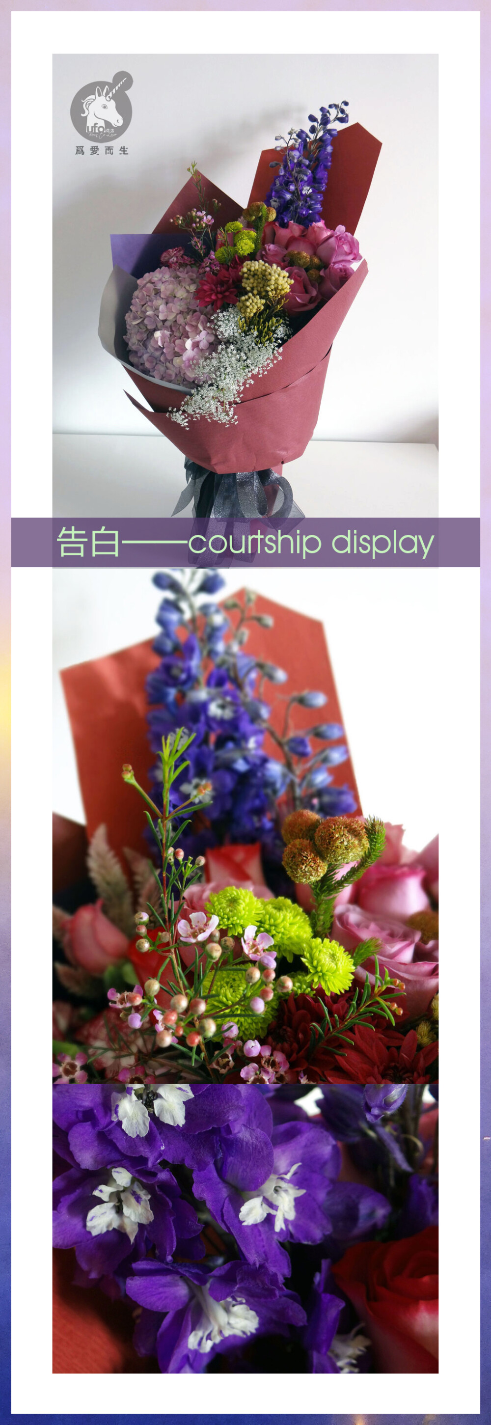 告白[courtship display]