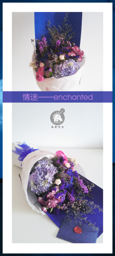 情迷[enchanted]