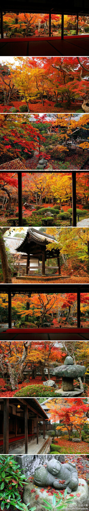 日本円光寺紅葉，令人窒息的美。