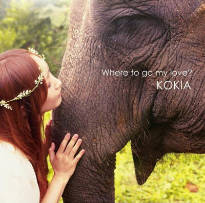 【Album】KOKIA - Where to go my love? [13.03.20発売]