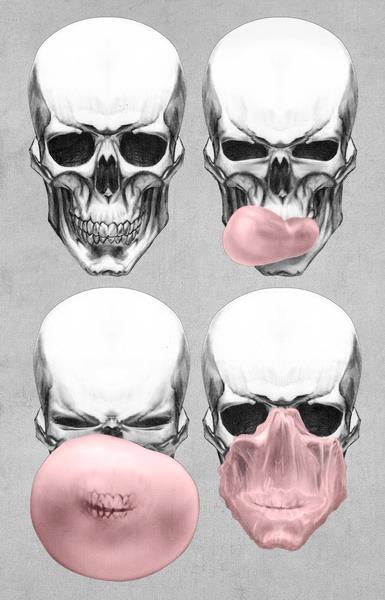 gums & skull