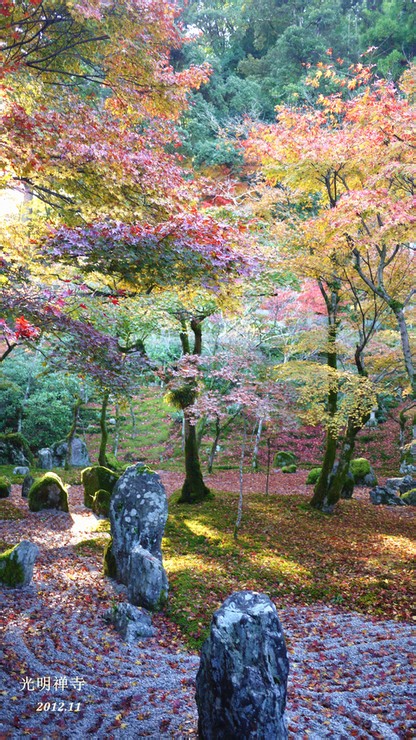 光明禅寺。