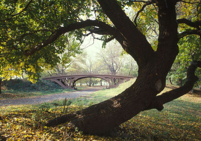 File:Central Park New York City New York 23 cropped.jpg中央公园（Central Park）是美国纽约市曼哈顿区大型的都市公园，是常居于狭小单元的当地居民的一方绿洲。由于经常出现在电影和电视剧中，令它成为世界上最…