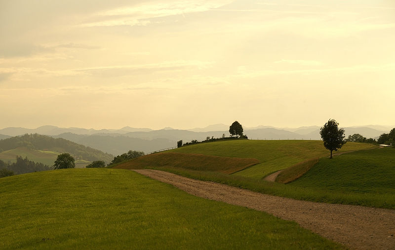 File:Freudenberg sg Switzerland.jpg圣加仑州是一个瑞士东北部的州。圣加仑州北隔博登湖与德国巴伐利亚州相望。东面是莱茵河谷，莱茵河的对岸就是奥地利和列支敦士登。南边格劳宾登、格拉鲁斯及施维茨等州份接壤。西邻苏黎世州及图尔高州。另外，内、外阿彭策尔两个半州完全篏在圣加仑州之内。北部的博登湖与莱茵河边是低地，地势向南边的山地升高，州内四份一土地是森林，超过一半面积是阿尔卑斯草地。图为圣加仑州圣加仑附近的风景。