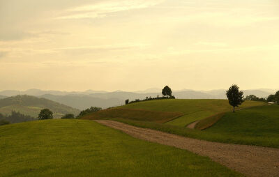 File:Freudenberg sg Switzerland.jpg圣加仑州是一个瑞士东北部的州。圣加仑州北隔博登湖与德国巴伐利亚州相望。东面是莱茵河谷，莱茵河的对岸就是奥地利和列支敦士登。南边格劳宾登、格拉鲁斯及施维茨等州份接壤。…