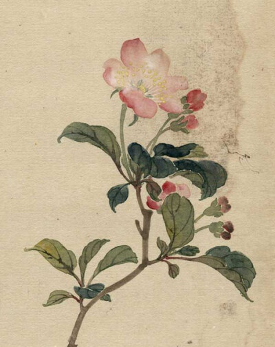 繆谷瑛《百花圖》