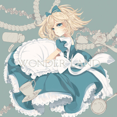 alice 。