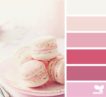 macaron pinks