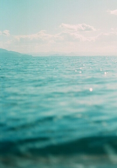 海