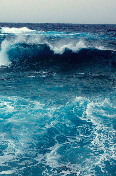 海