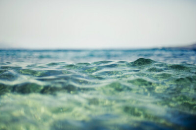 海
