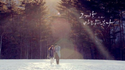 去散步 听听森林里的悄悄话