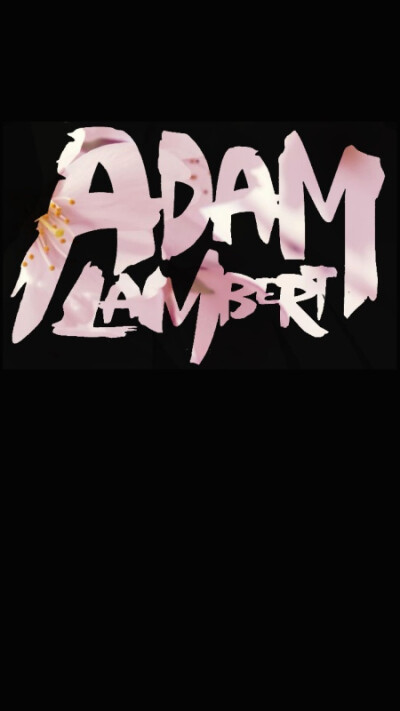 Adam Lambert壁纸