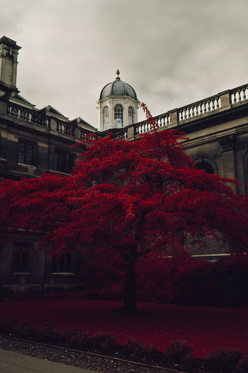 Cambridge,England