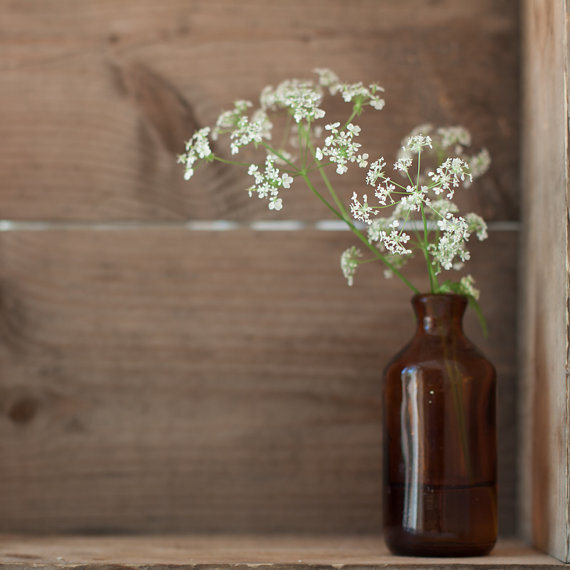 野胡萝卜花 (Queen Anne&#39;s lace) 是一种很多小花组合成的伞形花科植物，是一种在北美常见的夏季野花。它的英文名字来自于它的形状很像蕾丝。虽然它只是路旁小野花，很多饰品设计师还是很欣赏它，并且把这浪漫的形状加入到设计里。