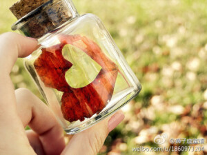 【因为你是狮子座】狮子座自尊心很强，强过金钱，事业，也强过爱情；狮子座知道什么是知恩图报，你对他们仁，他们就对你义；狮子座的喜欢不等于爱，多情而不滥情；狮子座喜欢创造小惊喜，喜欢制作小浪漫；狮子座的情商其实挺低的，对这种事有点迟钝；狮子座有了心爱的人后就会变得很没安全感，怕寂寞。【桑】