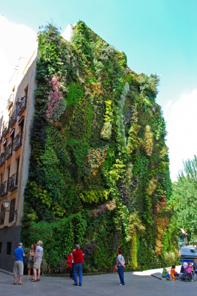 垂直公园。（By Patrick Blanc in Madrid, Spain）