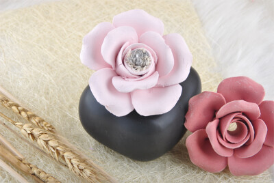 一朵不仅有玫瑰味的玫瑰花，特别容易着迷。帕菲兰