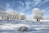 Winter Treehttp://media-cache-ak1.pinimg.com/192x/fc/27/1e/fc271e1a9dba9107289f1079672cc9ff.jpgs