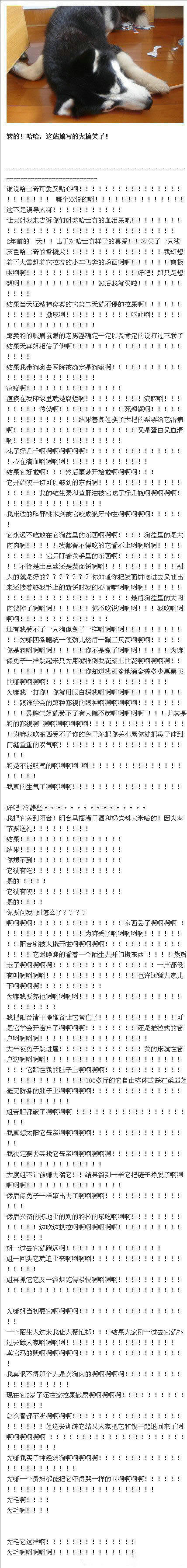 噗哈哈哈~我笑尿了！！哈士奇 真的这样么？？？【阳台锁被人撬开啦啊啊啊啊啊！！！！！！它眼睁睁的看着一个陌生人开门搬东西 ！！！！然后走了啊啊啊啊！！！！！一声都没有叫啊啊啊啊！！！！也许还舔人家几下啊啊啊！！！！！】