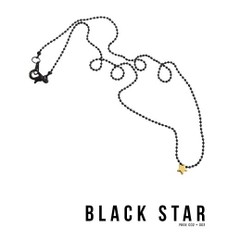 (预定）韩国代购RichbonBlack star necklace 项链