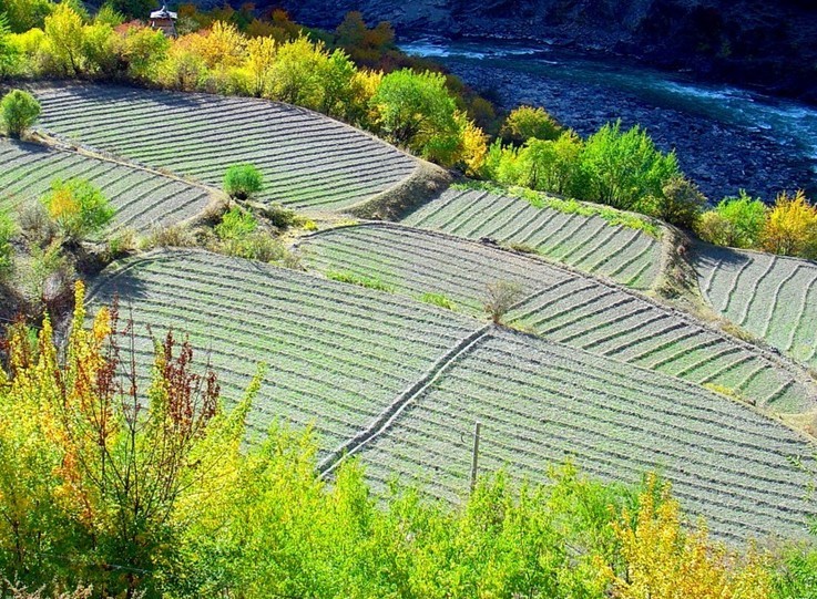 稻城，位于四川省西南边缘，地处青藏高原东南部，属康巴藏区的甘孜藏族自治州。szdzly.com