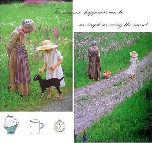 塔莎奶奶的美好生活、美图美画