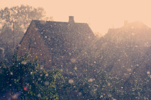 谁知道呢，本来不委屈的呀，偏偏看到了你。   ——《十年一品温如言》