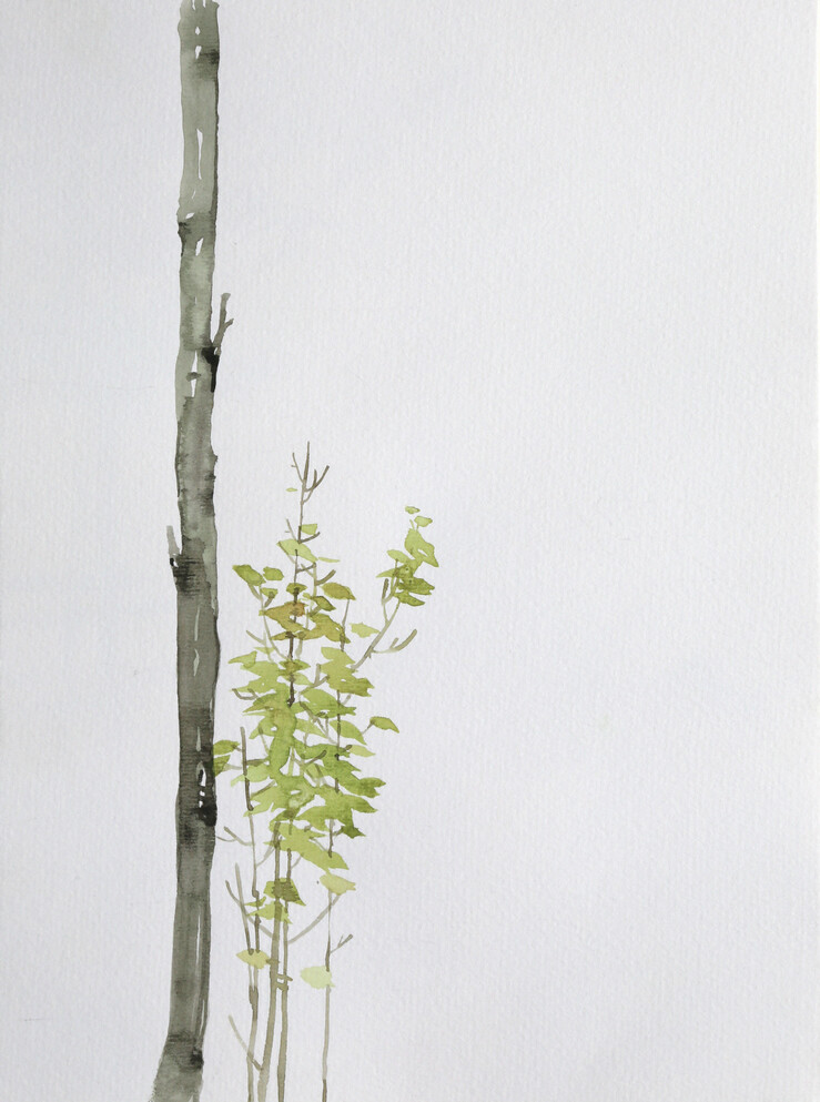 白米饭匙 的插画 写生归来。