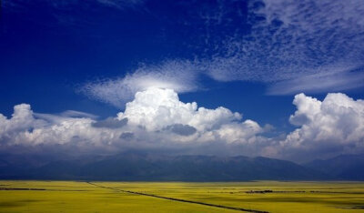 几十万亩盛开的油菜花构成了一道夺目的风景，当兰色、绿色、黄色在门源被大自交融在一起时，那种震撼人心的美是几乎无法形容的