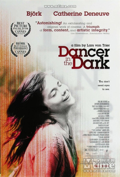 《黑暗中的舞者Dancer in the Dark(2000)》我什么都见过了，我见过黑暗，我见过小火花的光辉：我见过我想看的，我需要看的。那就够了，想多要就是贪心。我见过我是谁，知道我将如何：我什么都见过了，我无需再看什么…