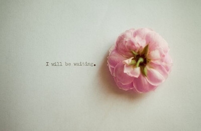 i will be waiting.