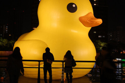 Giant Rubber Duck在大阪