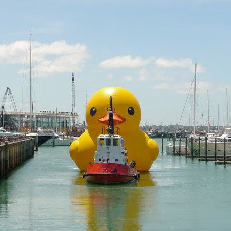 Giant Rubber Duck在奧克蘭