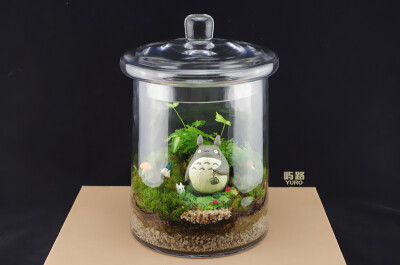 苔藓微景观 苔藓小品 苔藓盆栽 办公室绿植 宫崎骏-龙猫——那颗“梦想”的种子