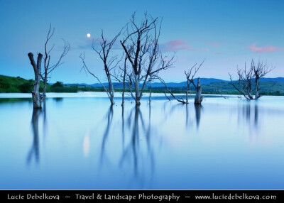 Photograph Bulgaria - Moon Rising over Dead Trees in Magical Lake by Lucie Debelkova - Travel Photography - www.luciedebelkova.com on 500px