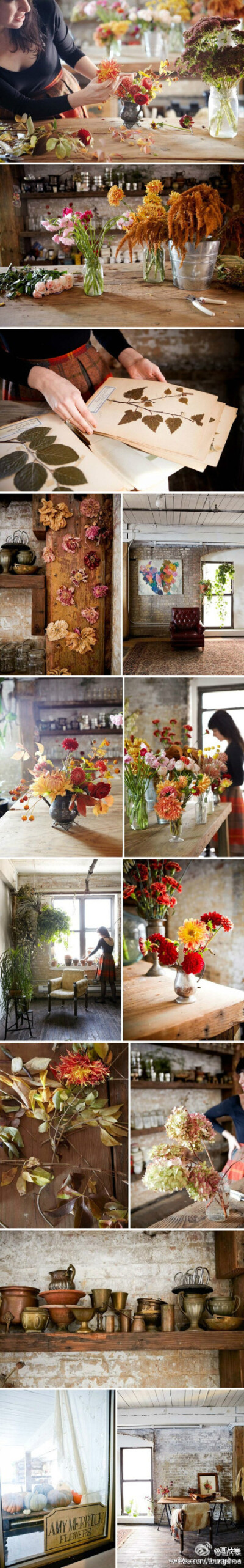 完美花店。这是一家位于纽约布鲁克林的叫AMY MERRICK的花店。