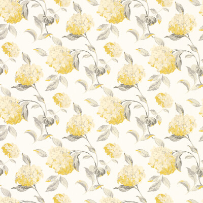 Hydrangea Camomile Floral Wallpaper